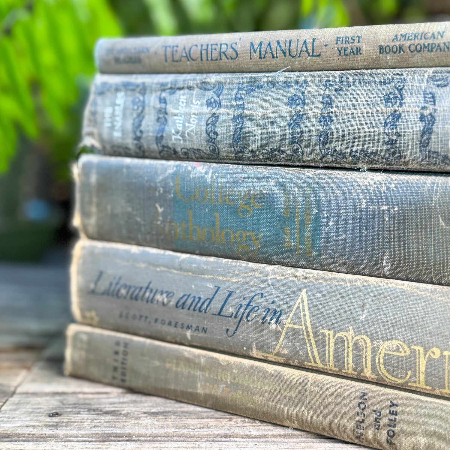 Vintage Schoolbook Bundle in Oversized Faded Gray, Blue, and Sage