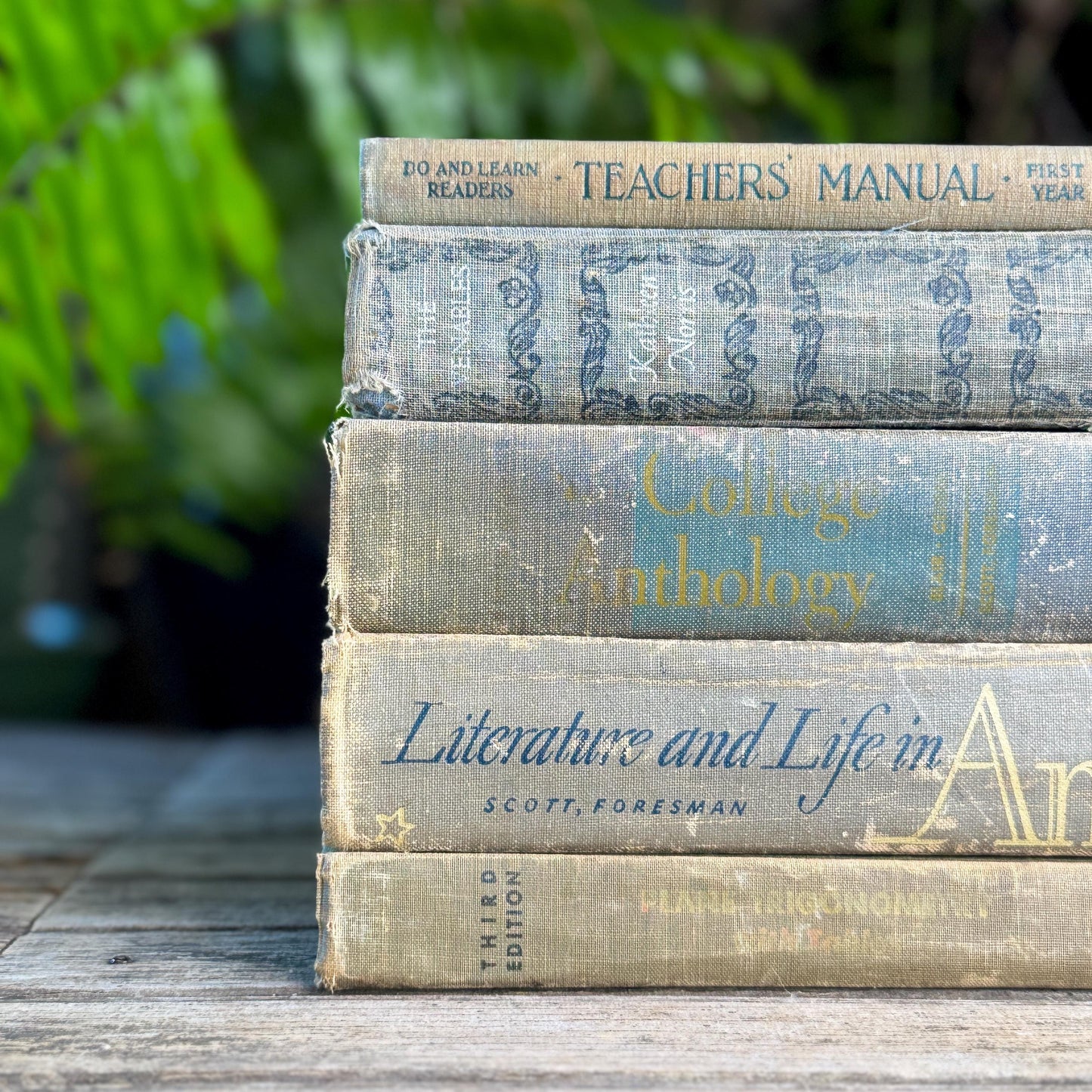 Vintage Schoolbook Bundle in Oversized Faded Gray, Blue, and Sage