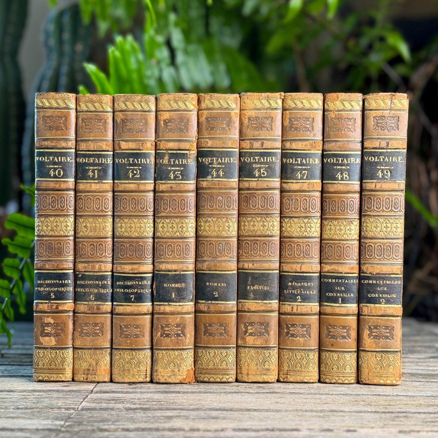 Antique Leather-Bound Voltaire Books in French, 1824, Gold Black and Brown