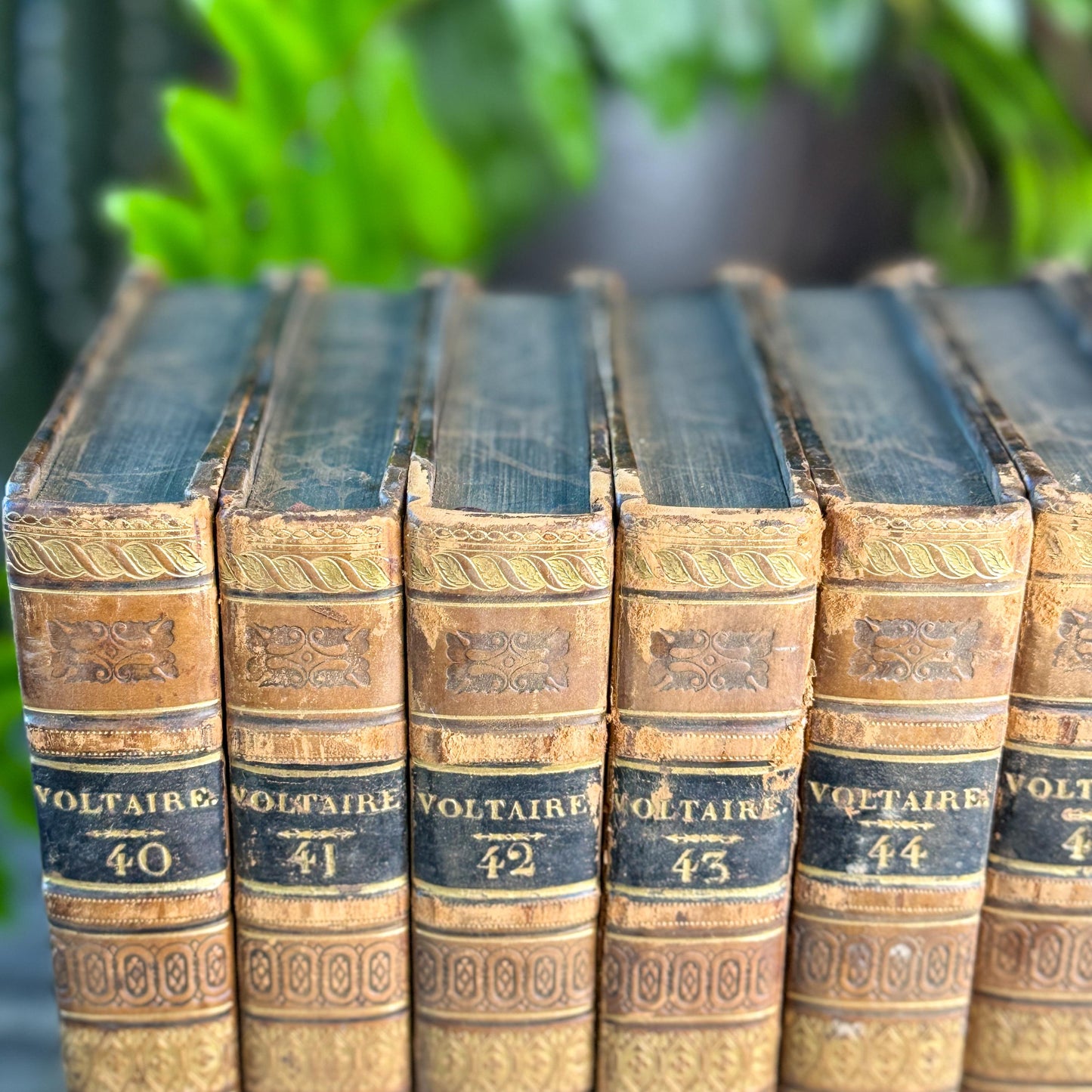 Antique Leather-Bound Voltaire Books in French, 1824, Gold Black and Brown