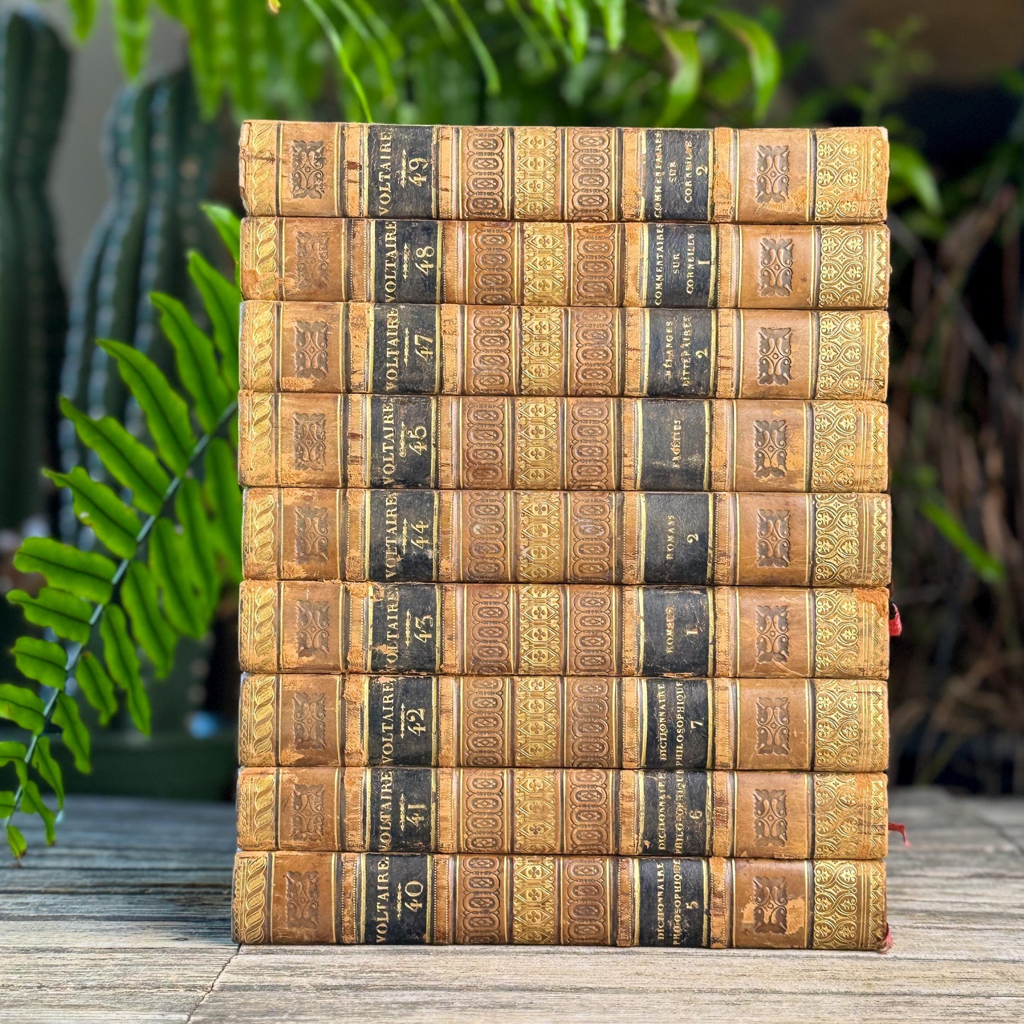 Antique Leather-Bound Voltaire Books in French, 1824, Gold Black and Brown