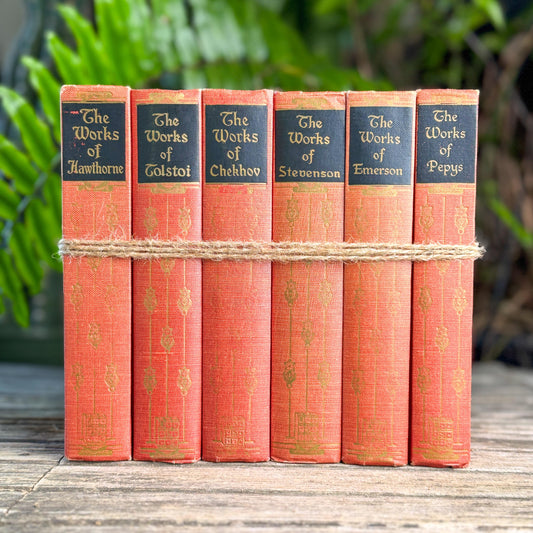 Pink Coral Peach Vintage Books for Decor, Ornate Art Noveau Book Set