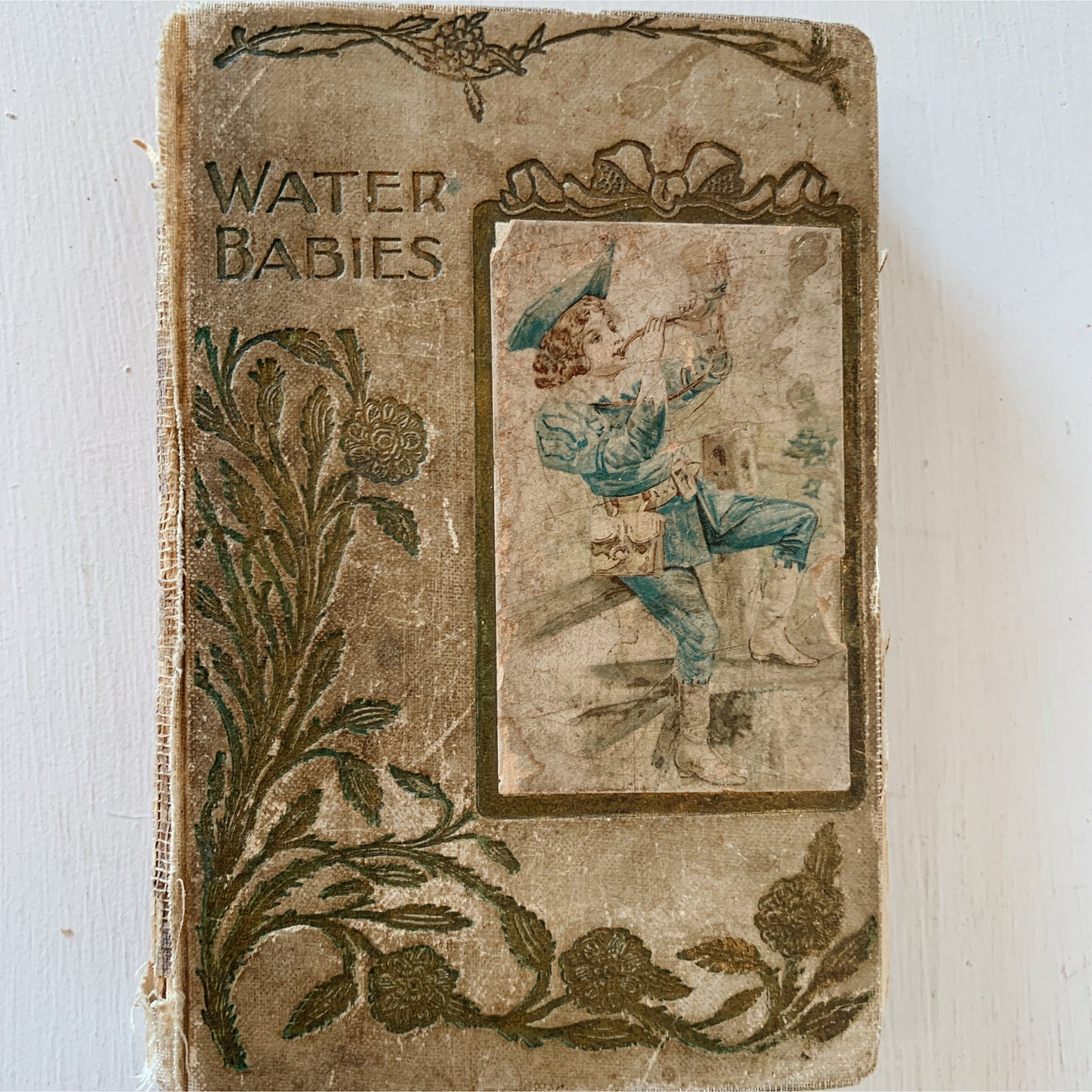 The Water Babies, Charles Kingsley, 1902 Homewood Publishing Ed, Rare