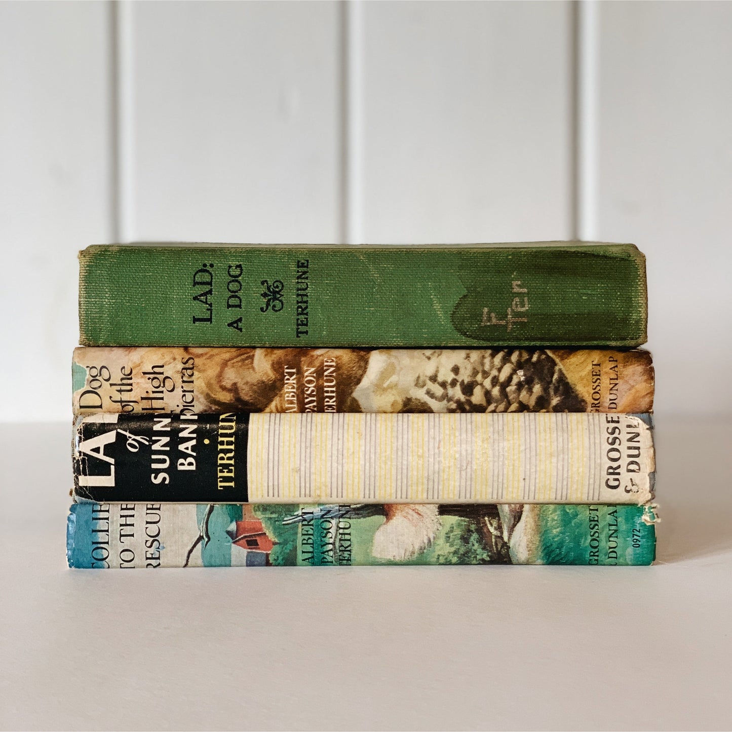 Albert Payson Terhune Dog Stories, Mid Century Fiction, Set of Four Hardcover Books