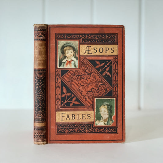 Three Hundred Aesop's Fables, Translated by Townsend, Antique Ornate Book