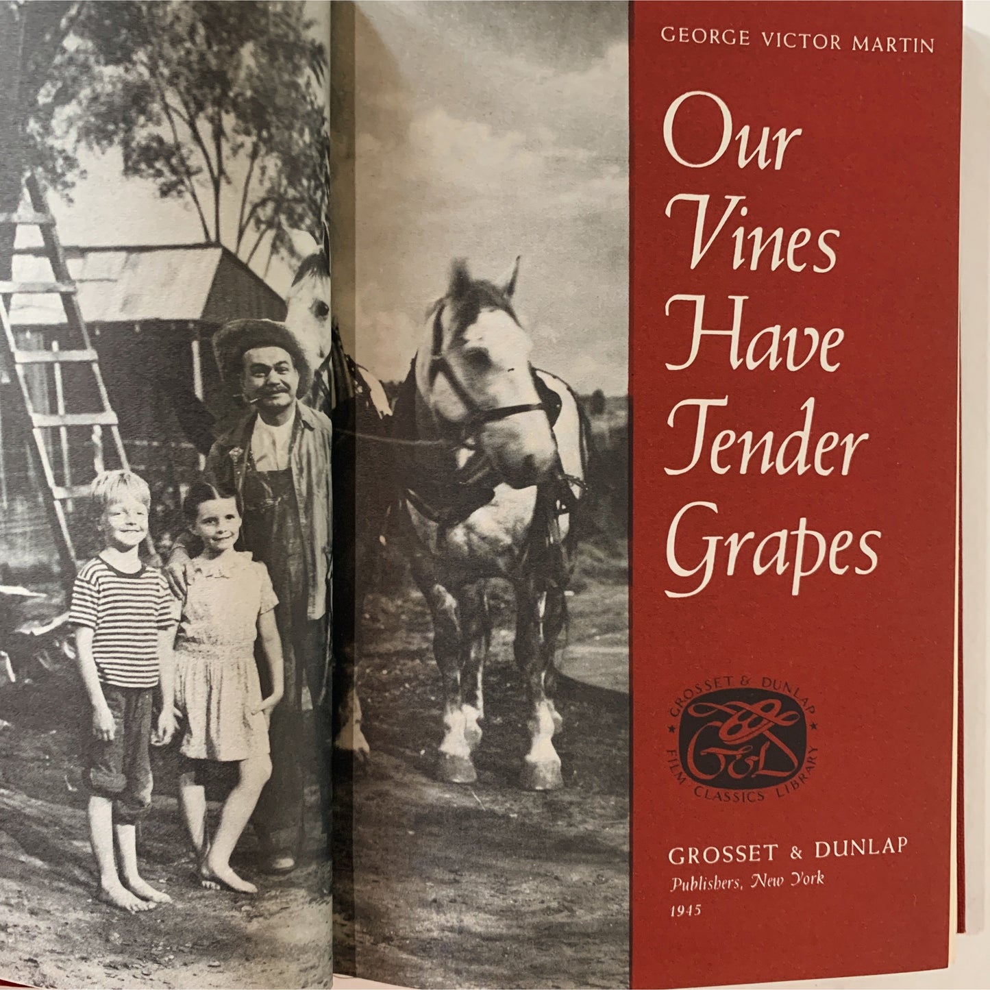 Our Vines Have Tender Grapes, MGM Movie Tie-In Edition, 1945 Hardcover