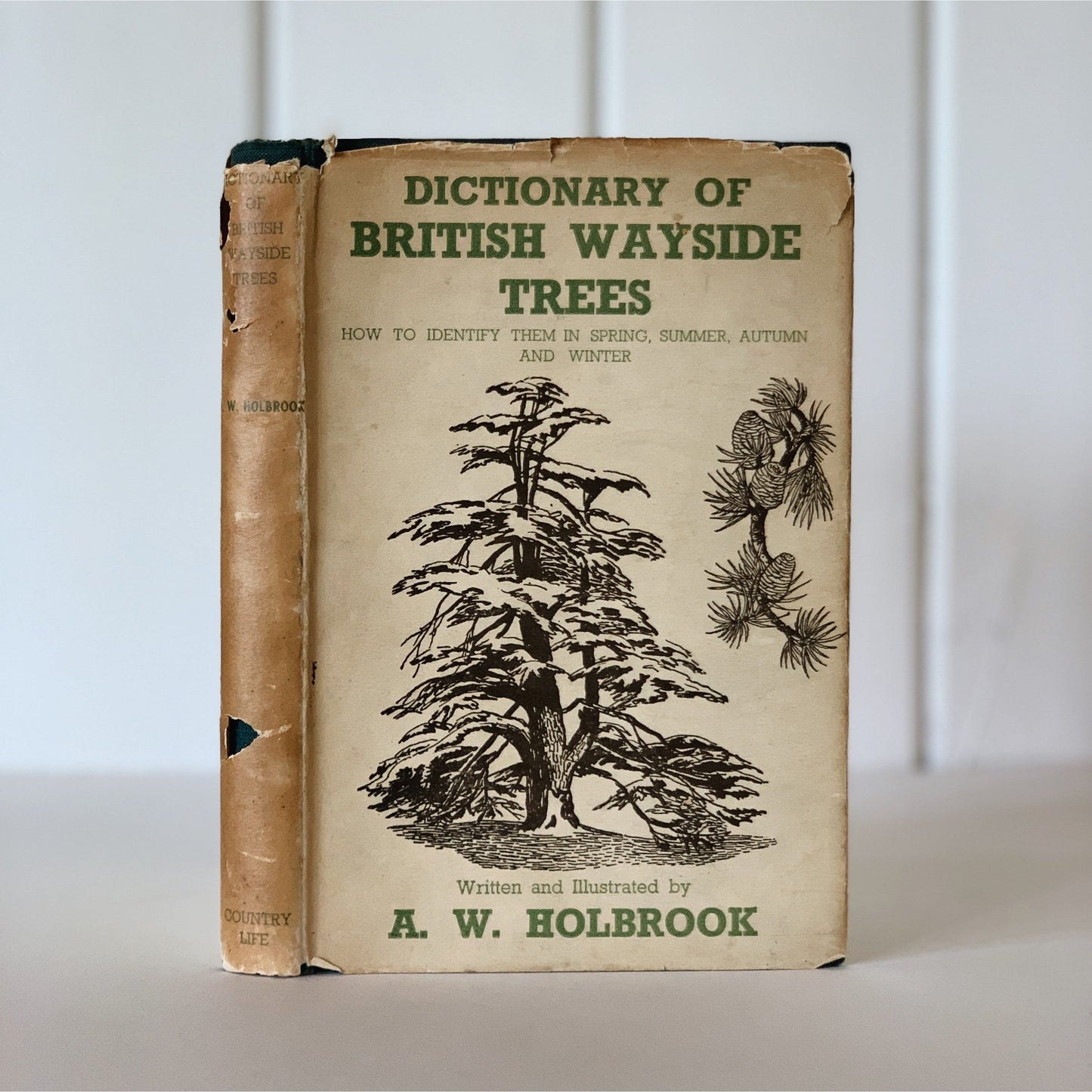 Dictionary of Wayside Trees, 1942, A.W. Holbrook, 2nd edition
