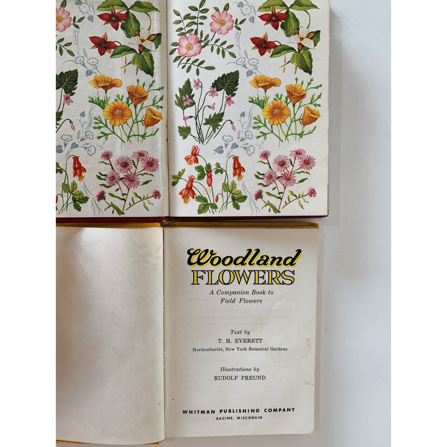 Field Flowers and Woodland Flowers, 1956 Whitman Nature Book