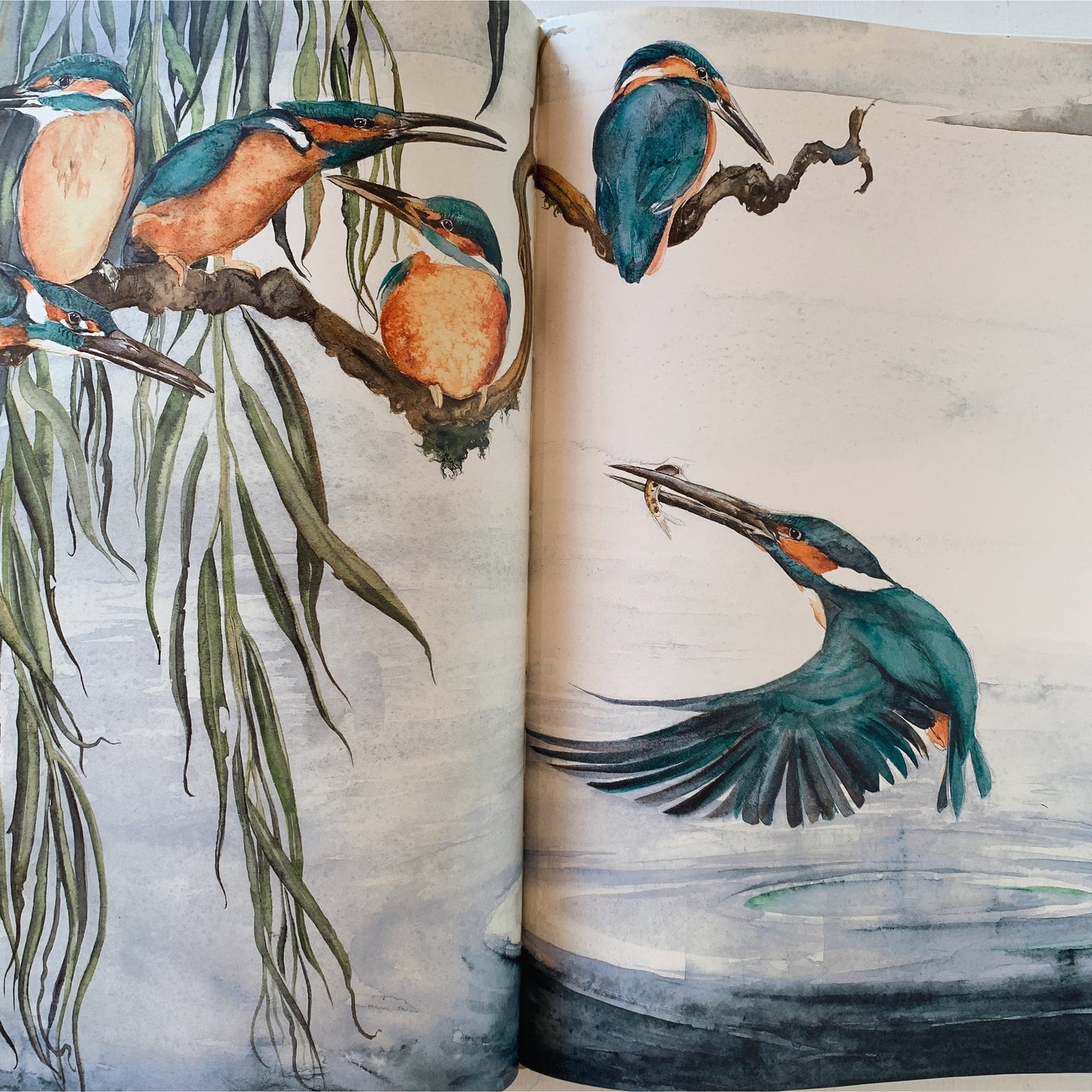 The Lost Words - Robert Macfarlane and Jackie Morris, Illustrated Nature Coffee Table Book