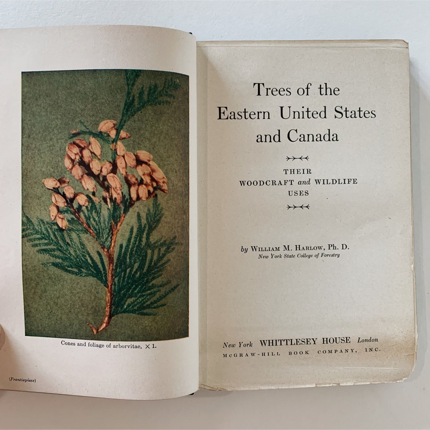 Trees of the Eastern United States and Canada, 1942, Whittlesey House Field Guide