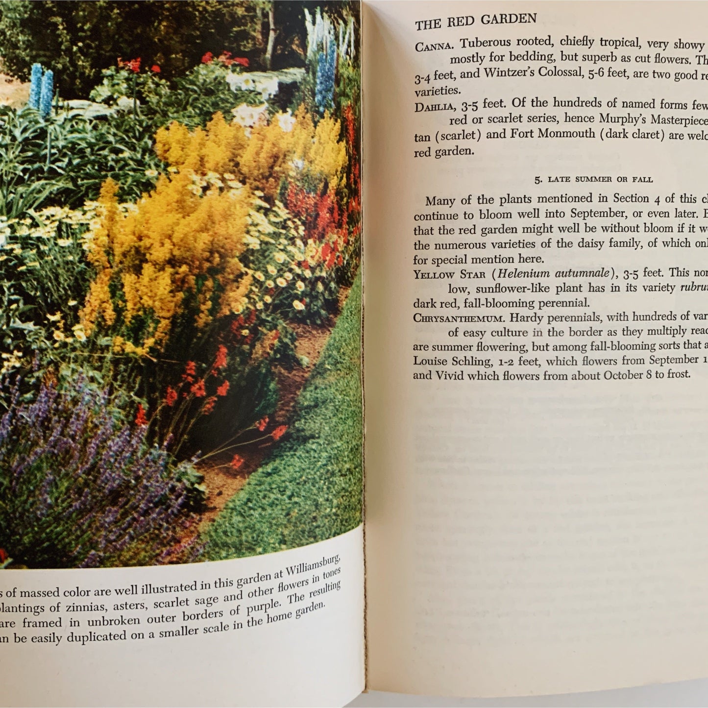 Taylor's Garden Guide, 1957, Norman Taylor, Hardcover