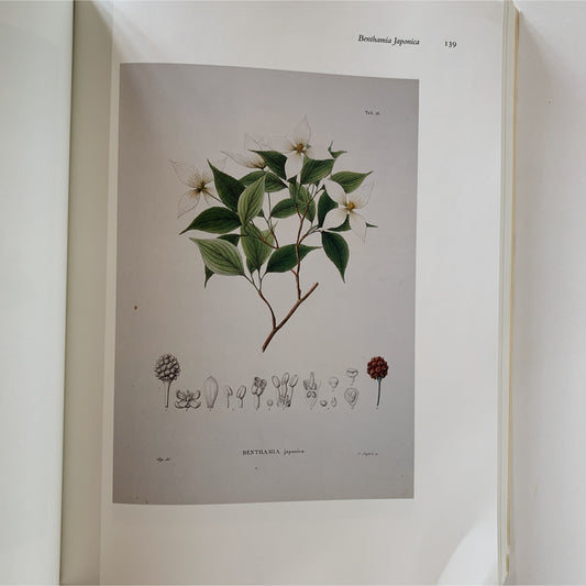 Drawn From Nature - The Botanical Art of Joseph Prestele and His Sons, 1984
