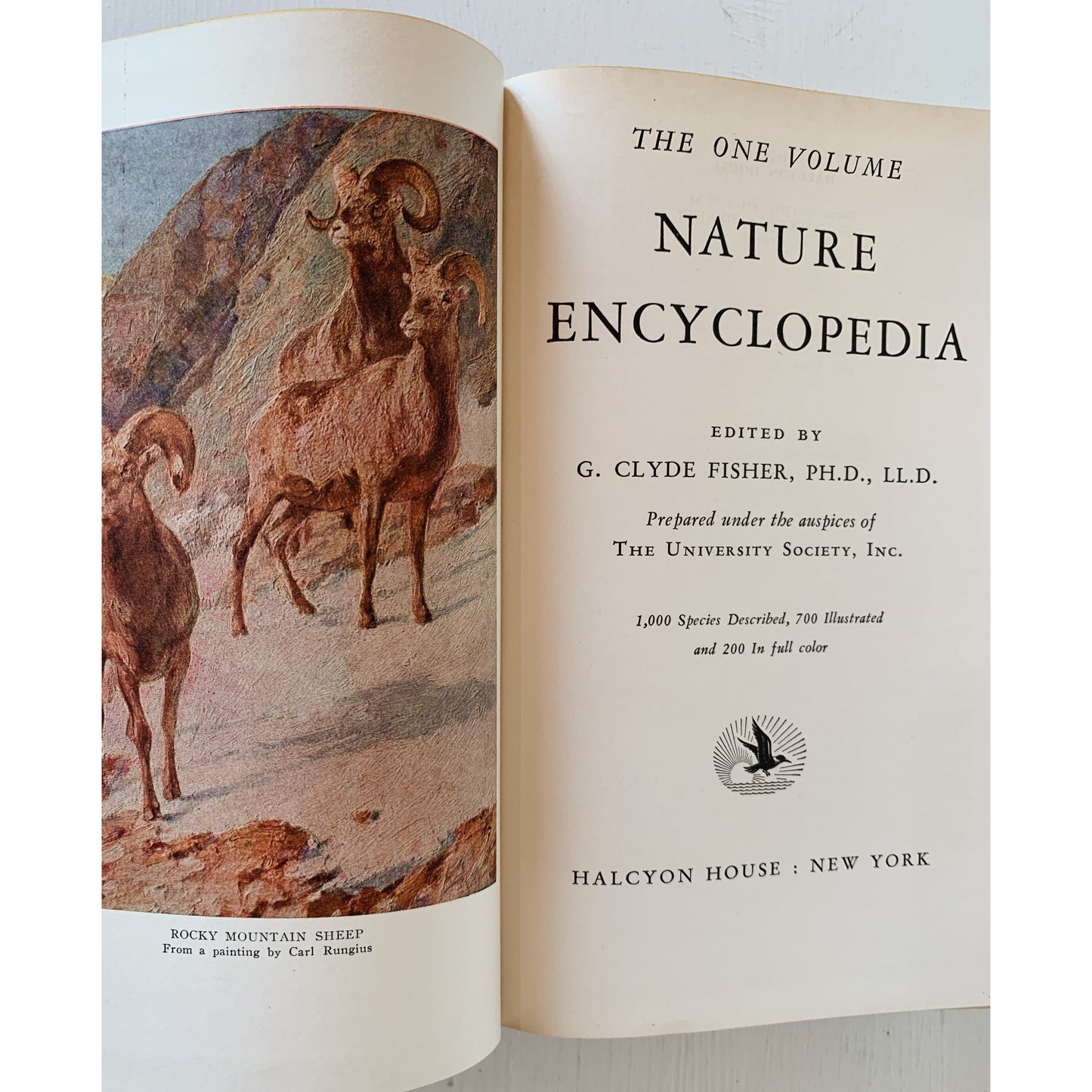 The One Volume Nature Encyclopedia	1940, Illustrated Nature Study Hardcover