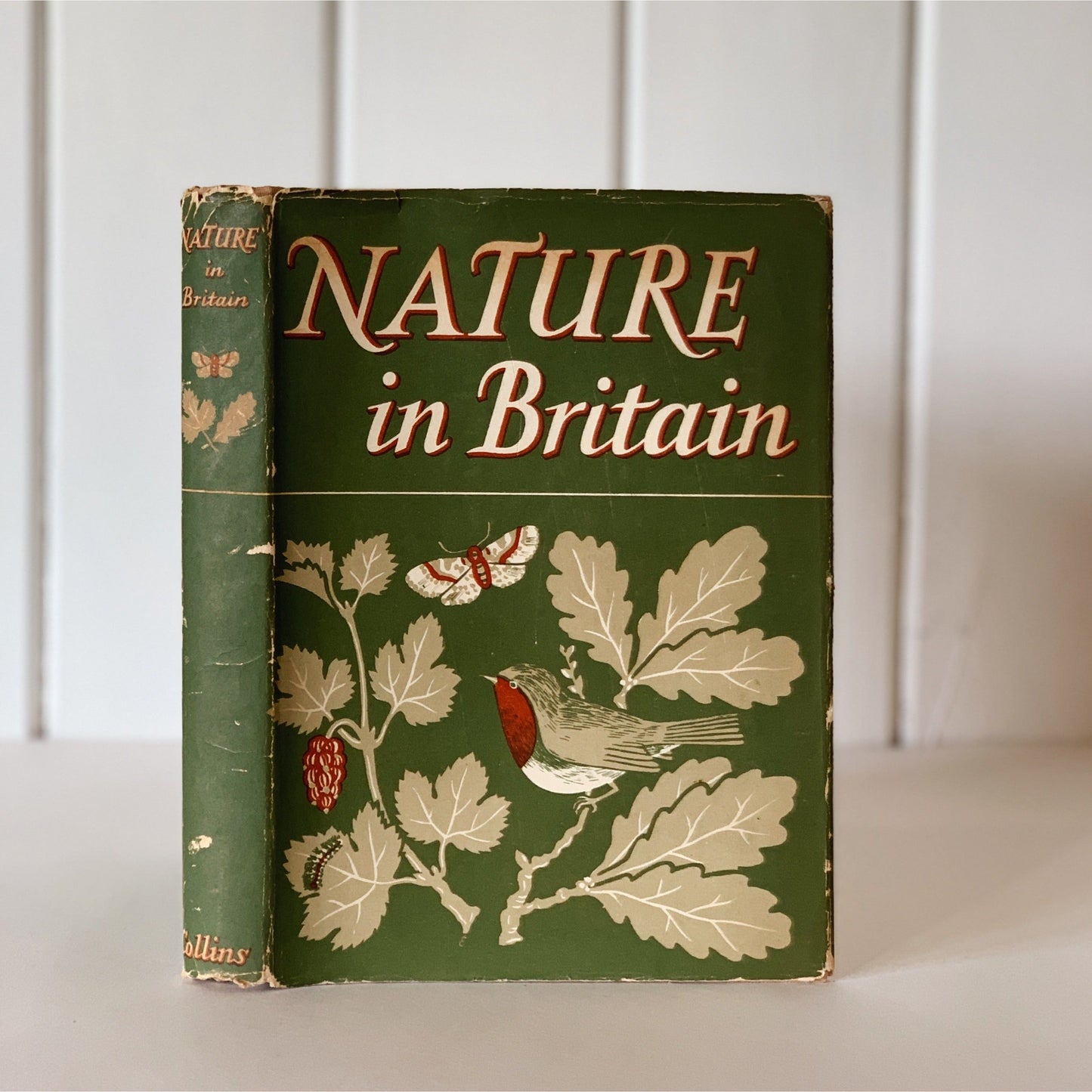 Nature in Britain, 48 Color Botanical Illustrations, Vintage Hardcover, 1946