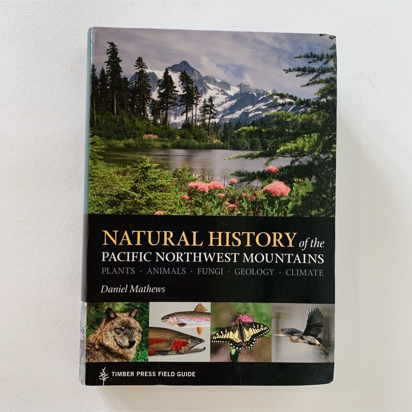 Natural History of the Pacific Northwest Mountains, Daniel Mathews, 2017