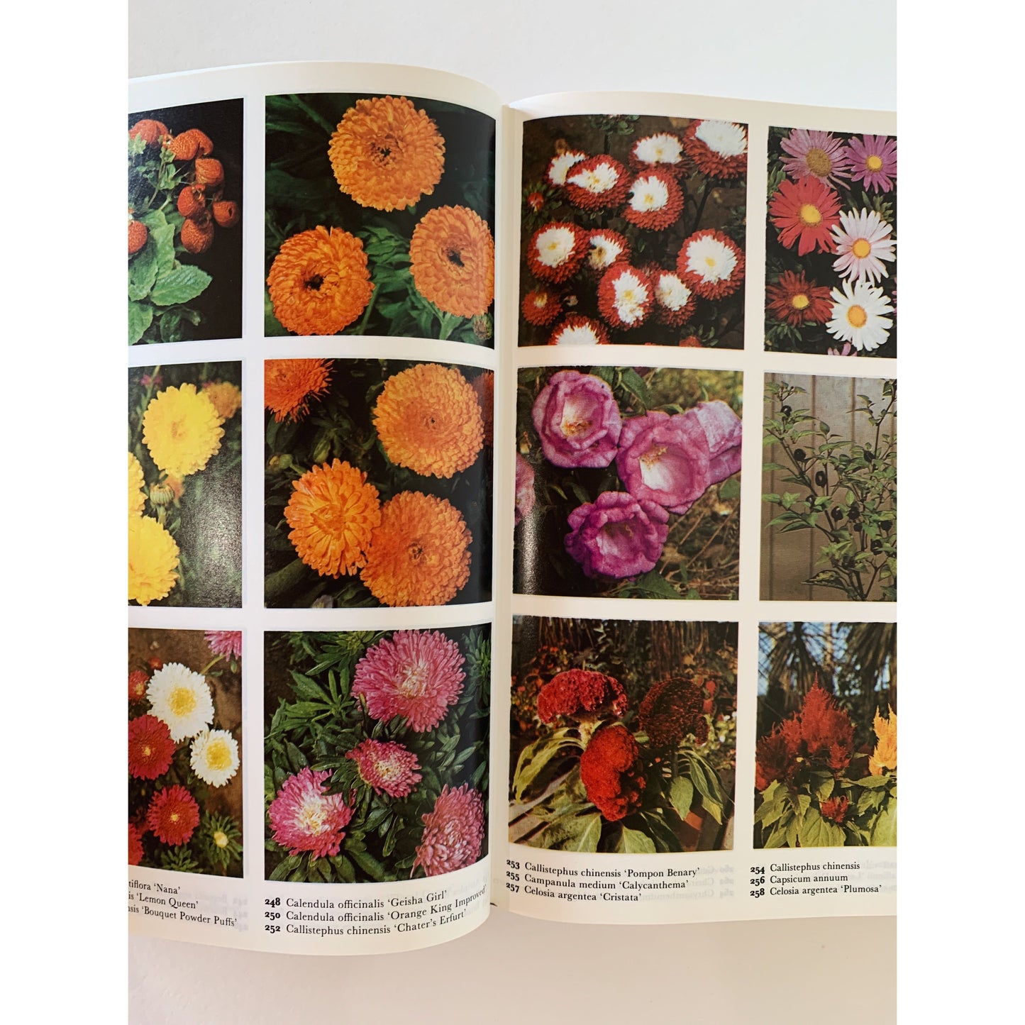 The Colour Dictionary of Garden Plants - The Royal Horticultural Society, 1991