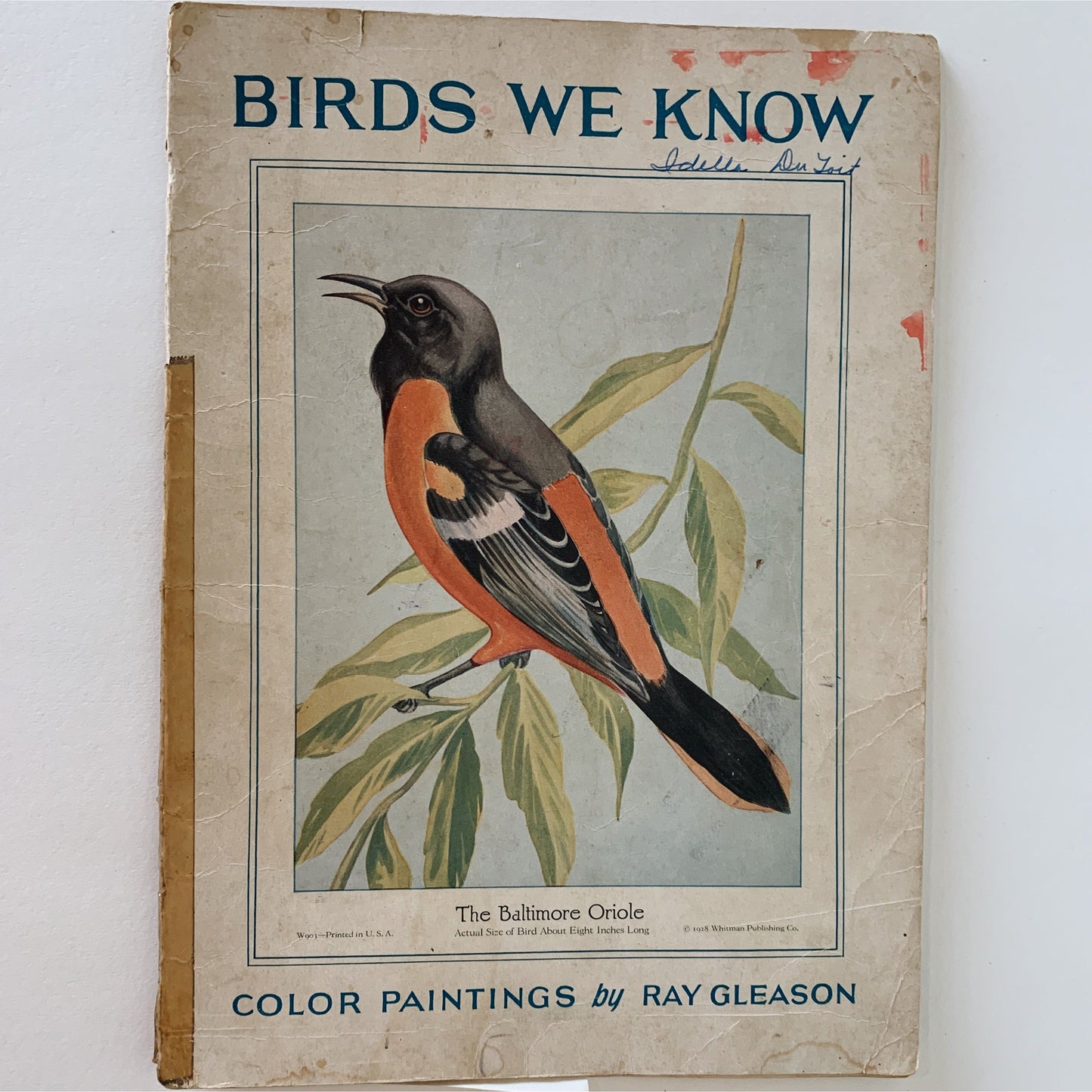 Birds We Know, Ray Gleason, 1928, Illustrated Soft Cover Oversized Book