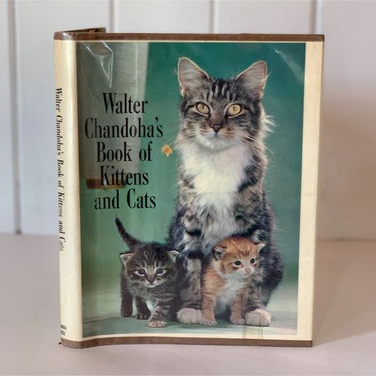 Walter Chandoha's Book of Kittens and Cats, Hardcover, 1963
