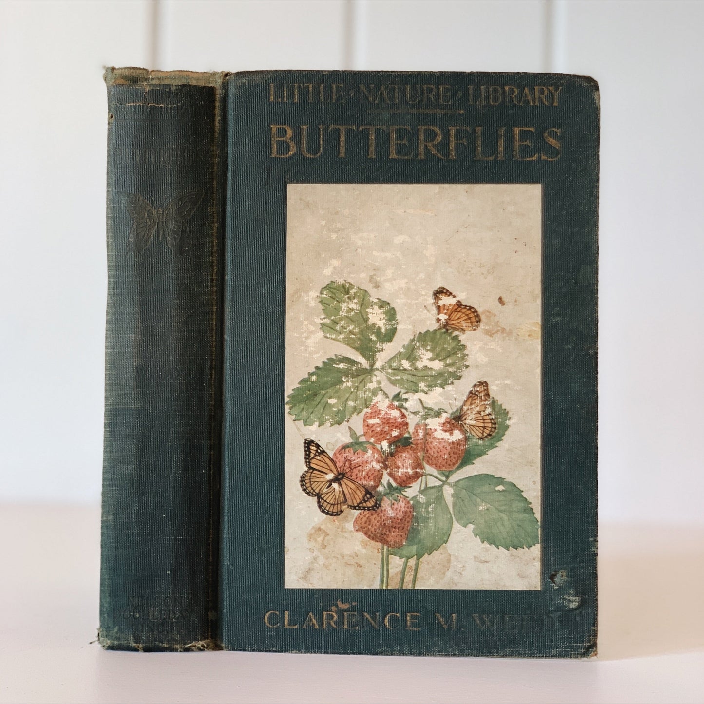 Little Nature Library - Butterflies - Clarence M. Weed - 1922