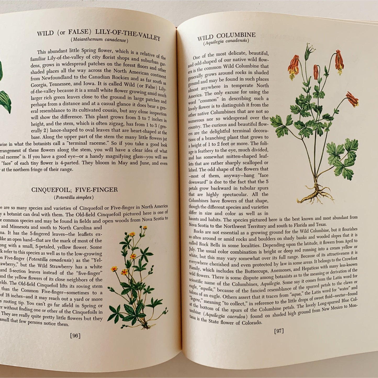 An Introduction to Nature, John Kieran, 1966 Mid Century Illustrated Nature Book