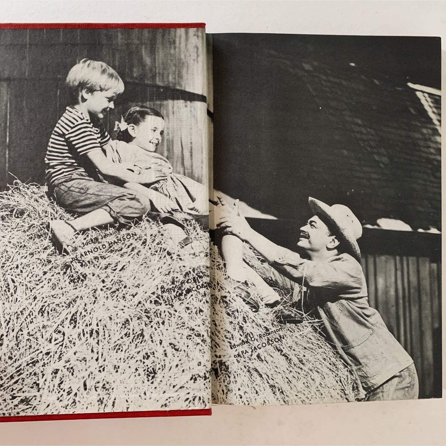 Our Vines Have Tender Grapes, MGM Movie Tie-In Edition, 1945 Hardcover