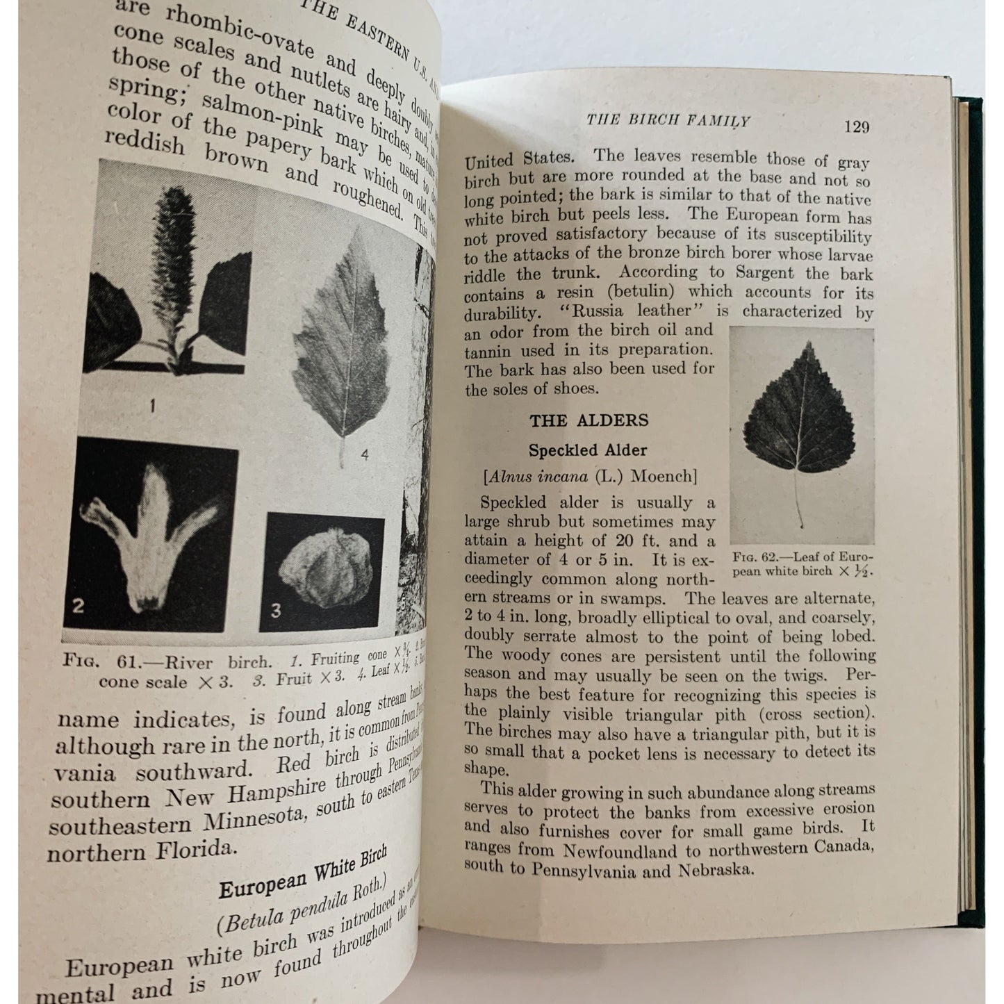 Trees of the Eastern United States and Canada, 1942, Whittlesey House Field Guide