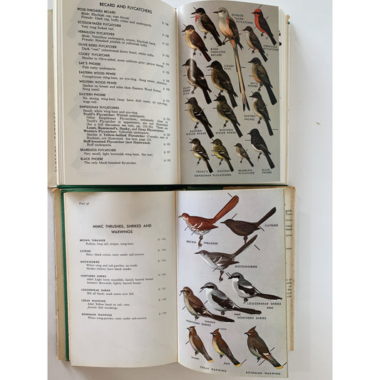 Roger Tory Peterson Set, A Field Guide to Western Birds and Field Guide to the Birds