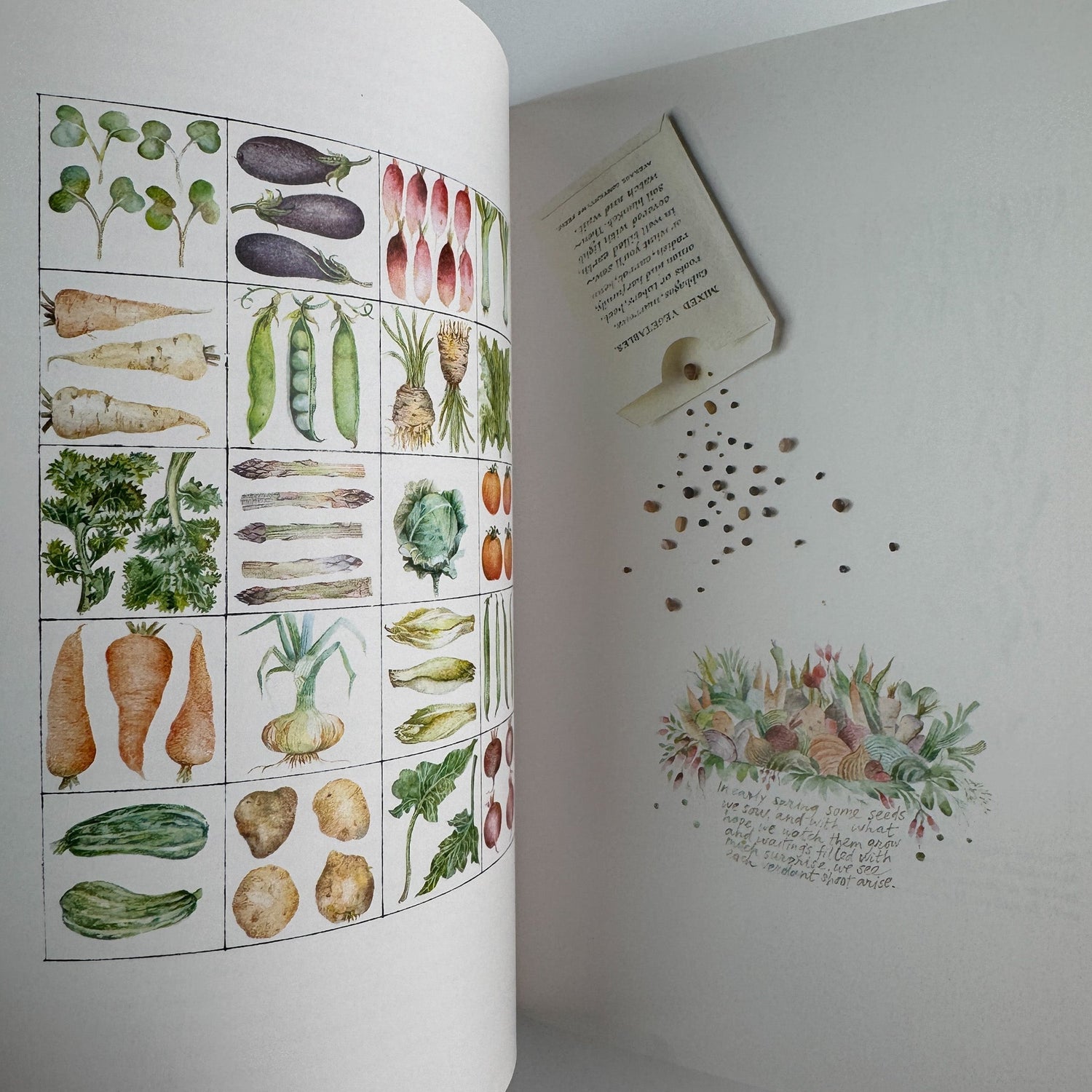 In and Out of the Garden, 1984, Sara Midda, Illustrated Art Book, Paperback - Pretty Old Books