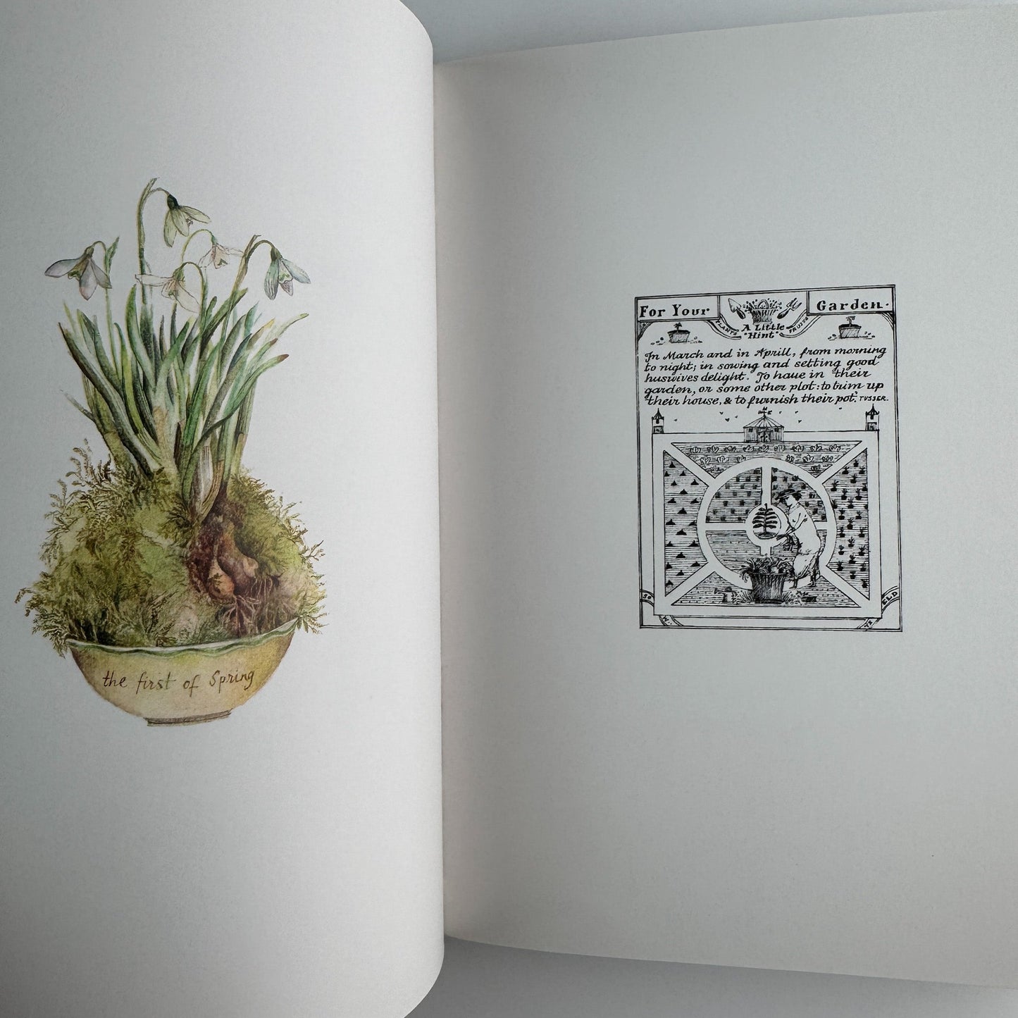 In and Out of the Garden, 1984, Sara Midda, Illustrated Art Book, Paperback - Pretty Old Books