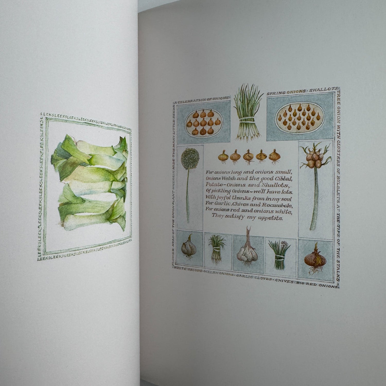 In and Out of the Garden, 1984, Sara Midda, Illustrated Art Book, Paperback - Pretty Old Books