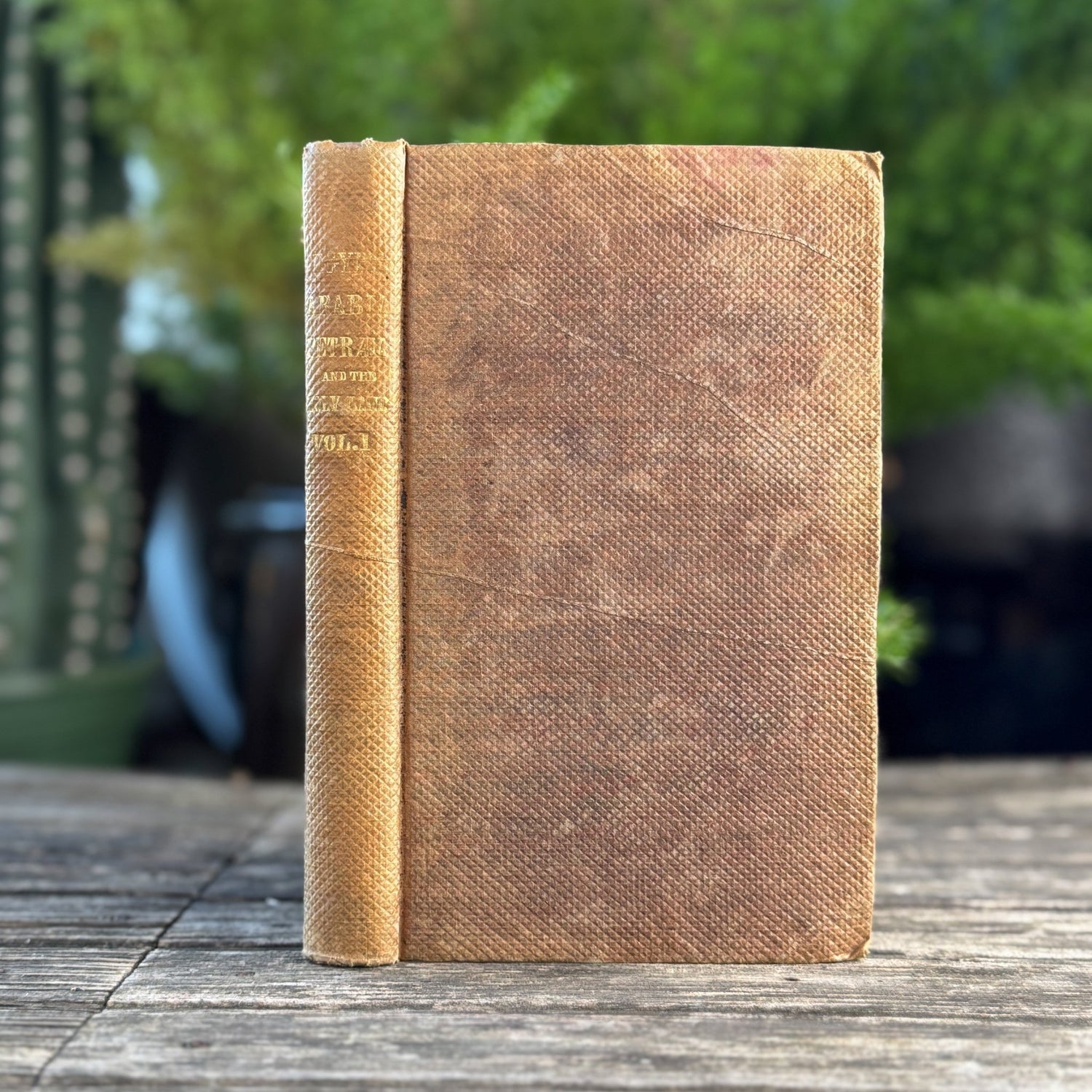 Incidents of Travel in Egypt, Arabia Petra, and The Holy Land, 1838, Volume One - Pretty Old Books