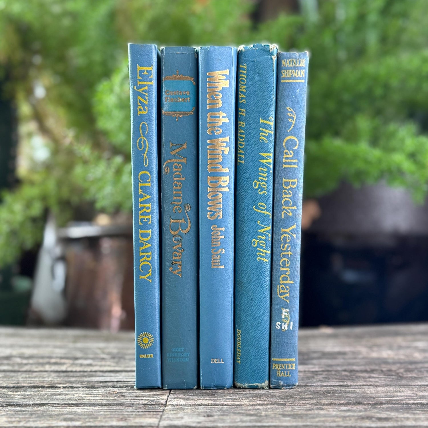 Indigo and True Blue Cozy Book Bundle - Pretty Old Books