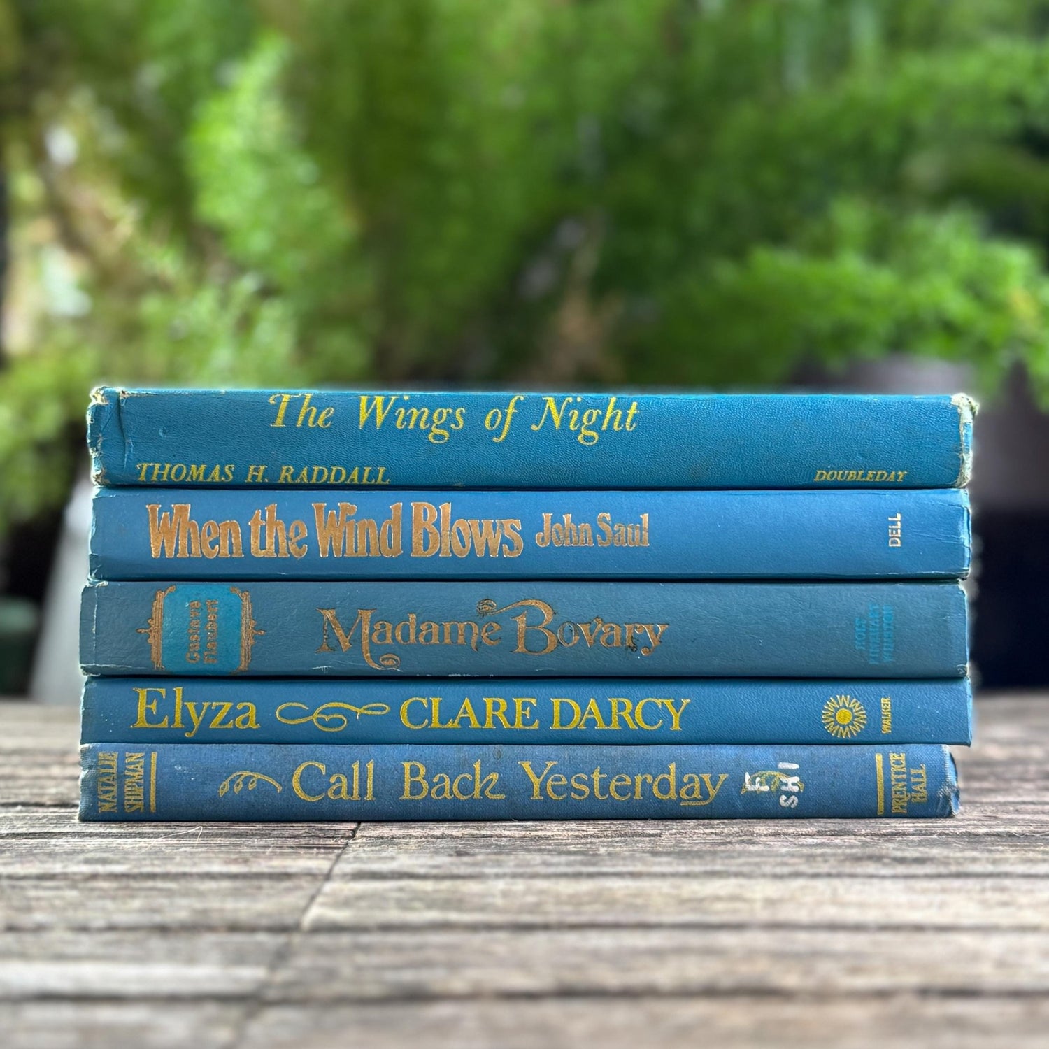 Indigo and True Blue Cozy Book Bundle - Pretty Old Books