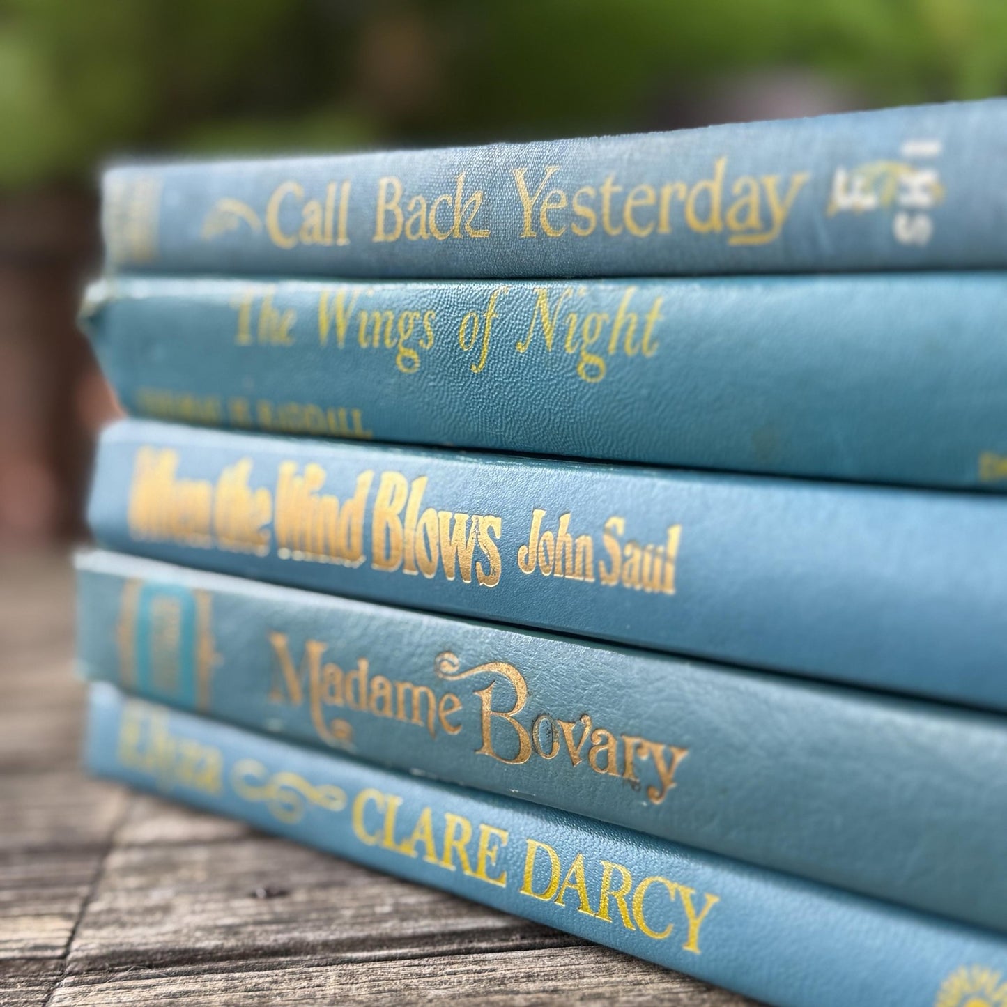 Indigo and True Blue Cozy Book Bundle - Pretty Old Books