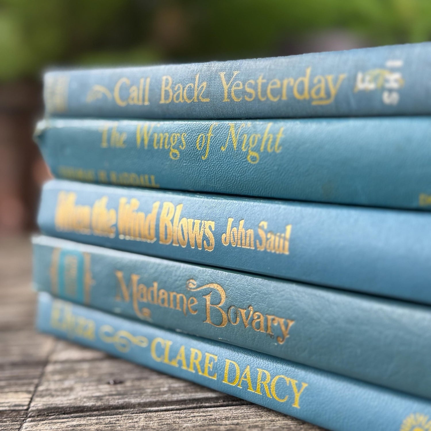 Indigo and True Blue Cozy Book Bundle - Pretty Old Books