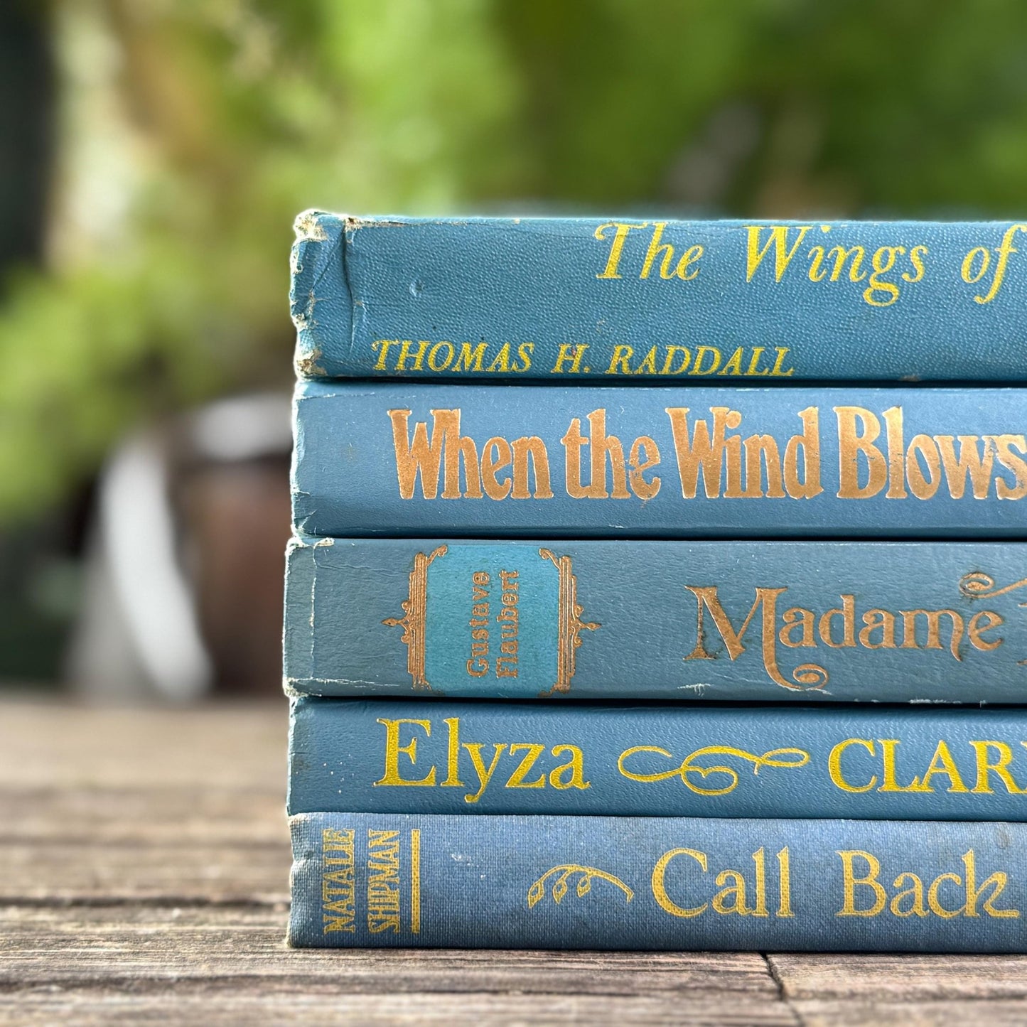 Indigo and True Blue Cozy Book Bundle - Pretty Old Books