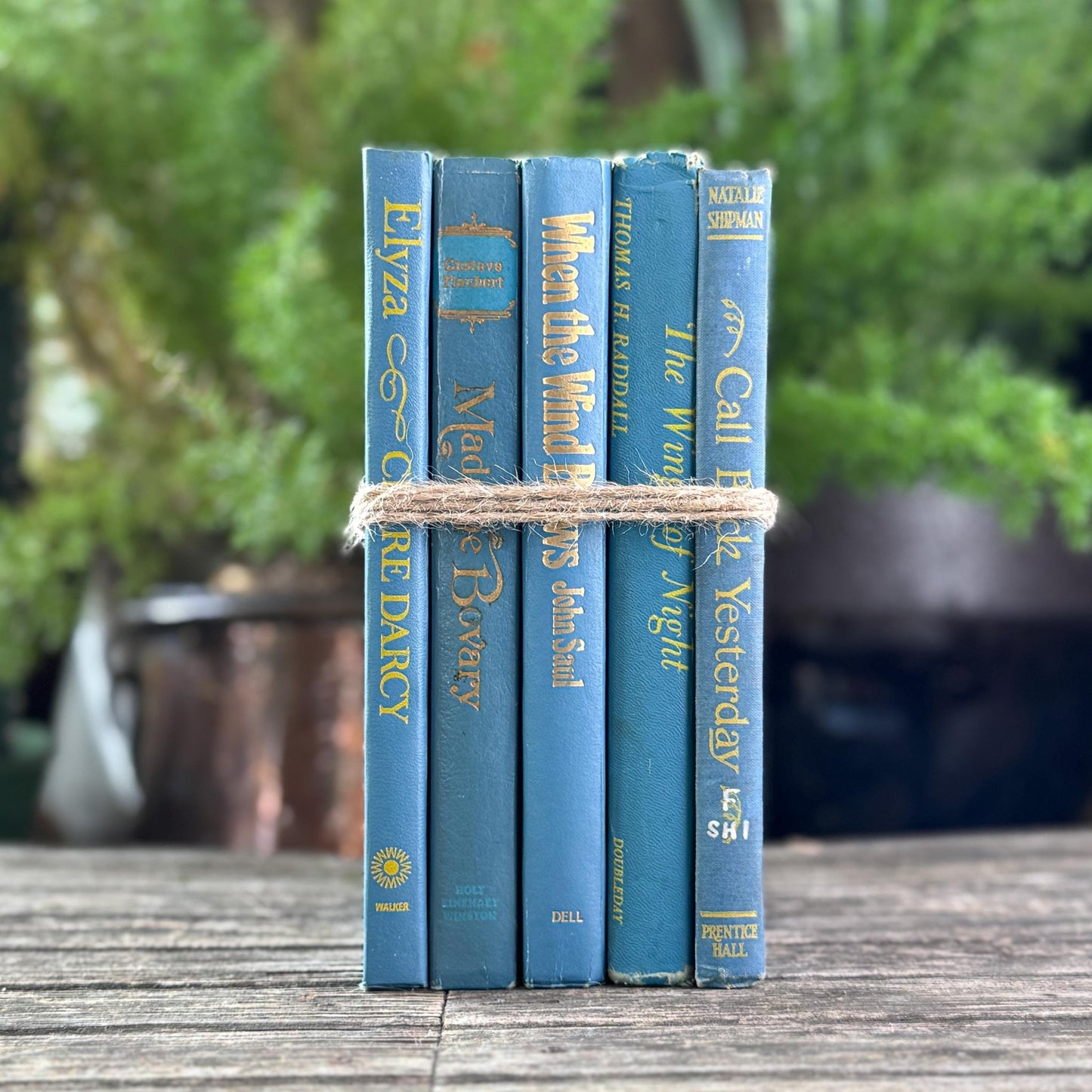 Indigo and True Blue Cozy Book Bundle - Pretty Old Books