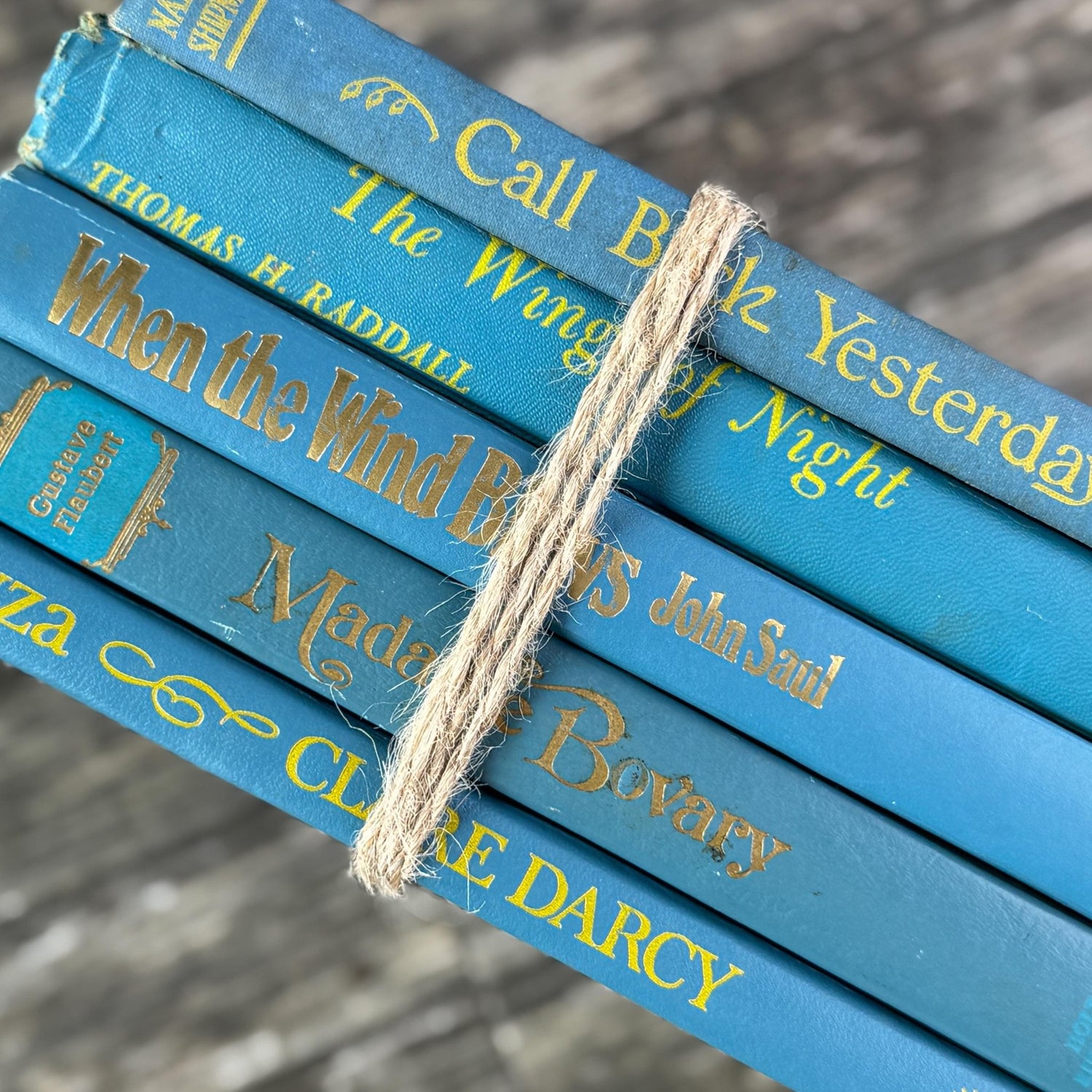 Indigo and True Blue Cozy Book Bundle - Pretty Old Books