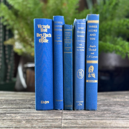 Indigo Blue and Cobalt Vintage Book Set for Shelf Styling - Pretty Old Books