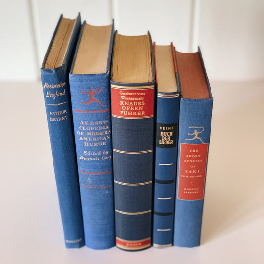 Indigo Blue Vintage Book Set, Home Staging, Boho Decor, Books for Wedding Centerpiece - Pretty Old Books