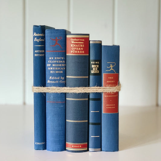 Indigo Blue Vintage Book Set, Home Staging, Boho Decor, Books for Wedding Centerpiece - Pretty Old Books