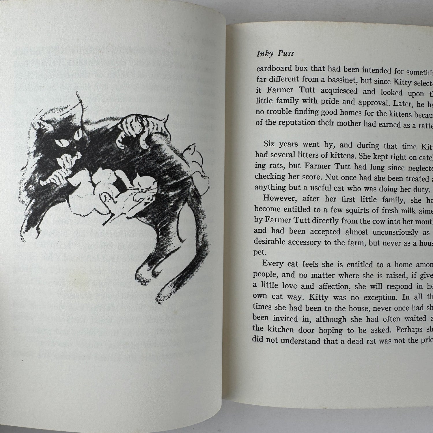Inky Puss, 1962, Harrison and Mathilda Reed, Children's Cat Story - Pretty Old Books