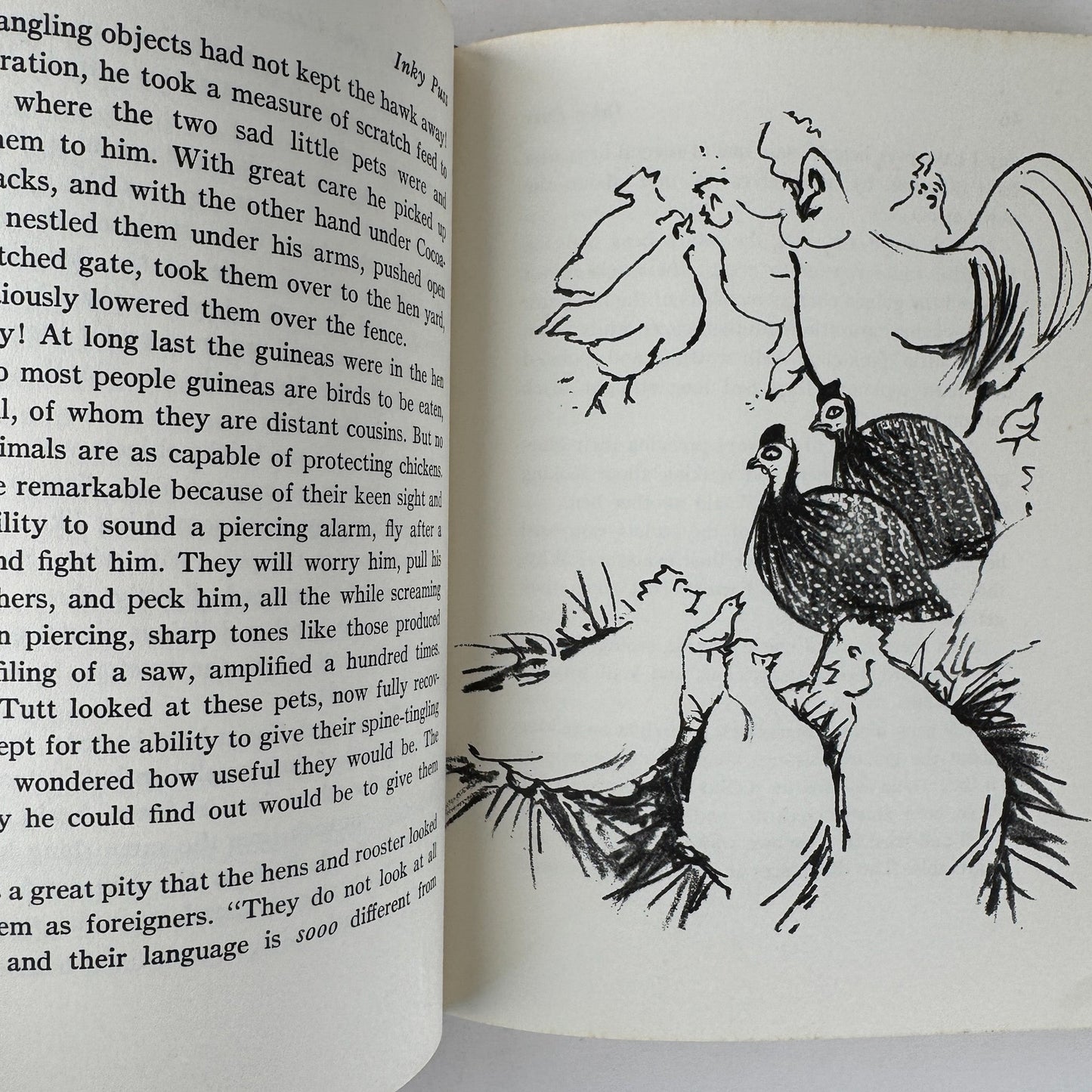 Inky Puss, 1962, Harrison and Mathilda Reed, Children's Cat Story - Pretty Old Books