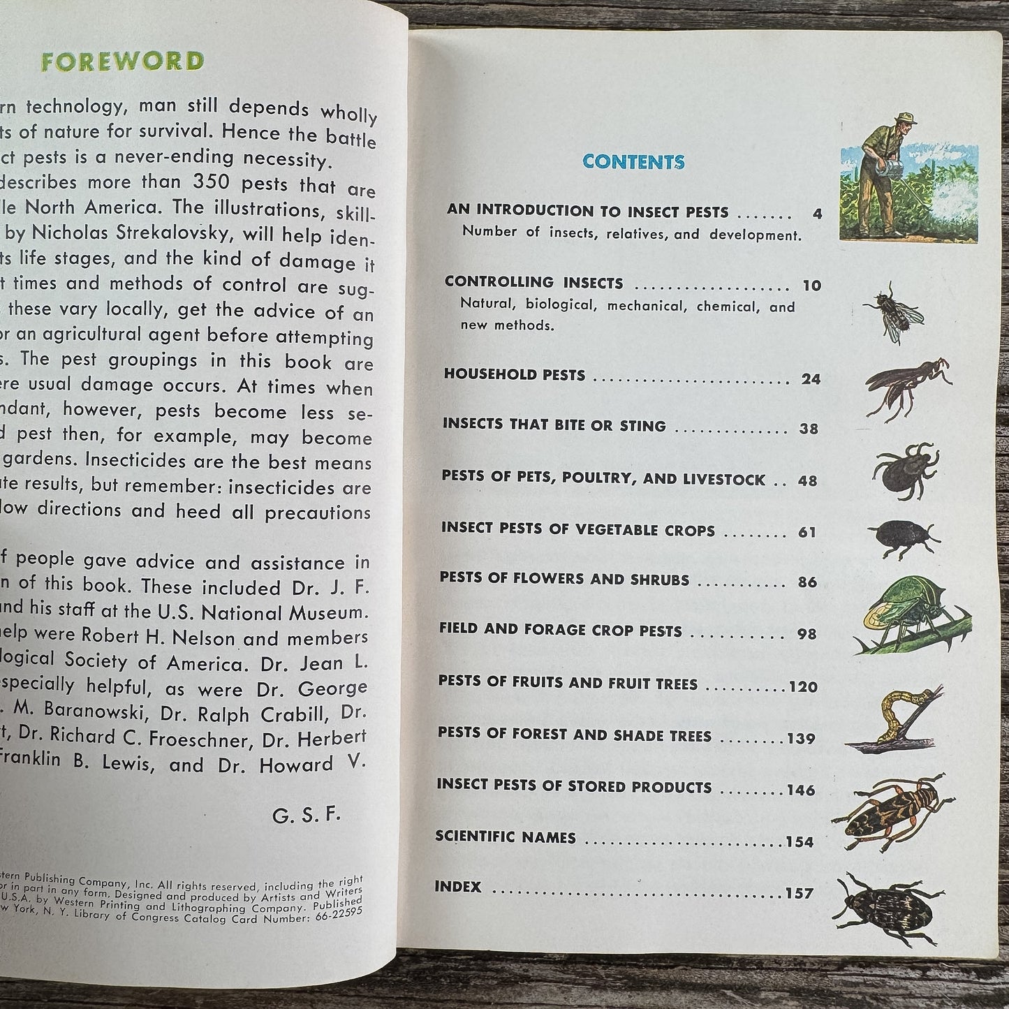 Insect Pests, A Golden Guide, 1966 - Pretty Old Books