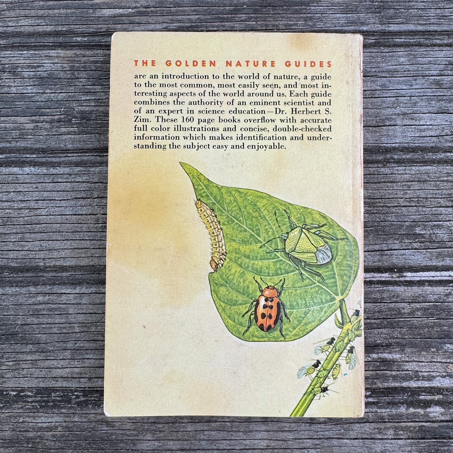 Insect Pests, A Golden Guide, 1966 - Pretty Old Books