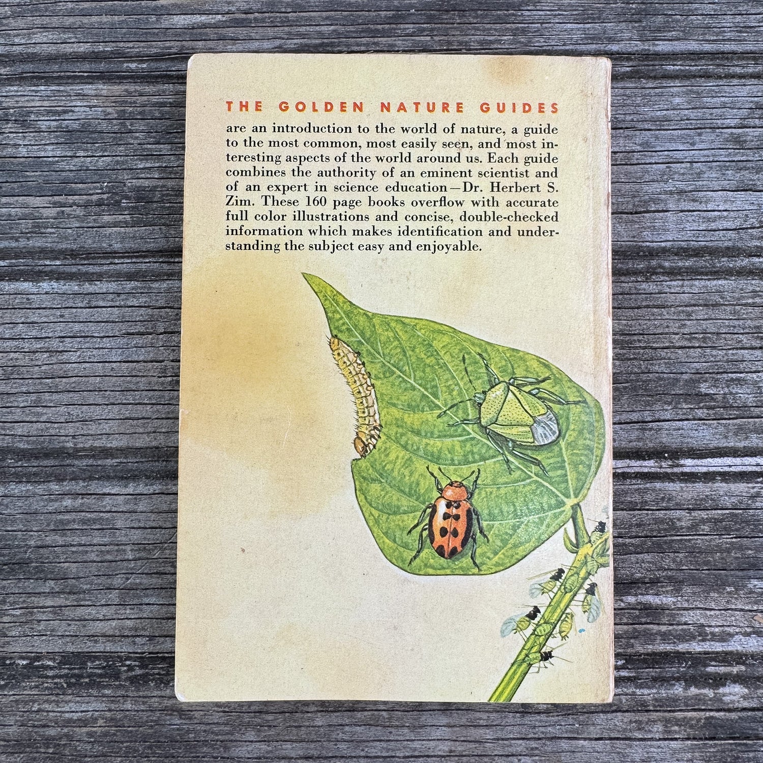 Insect Pests, A Golden Guide, 1966 - Pretty Old Books