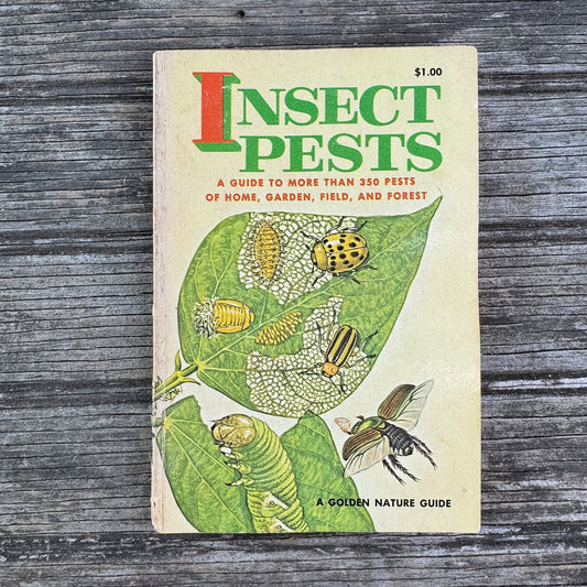 Insect Pests, A Golden Guide, 1966 - Pretty Old Books