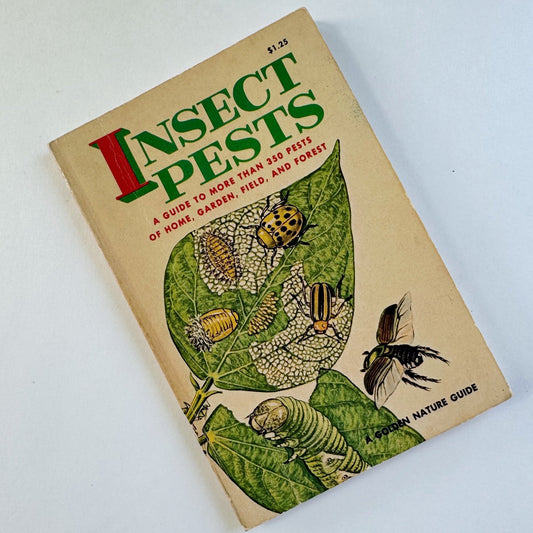 Insect Pests, A Golden Nature Guide, 1966 - Pretty Old Books