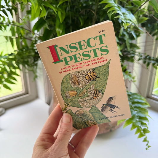 Insect Pests, A Golden Nature Guide, 1966 - Pretty Old Books