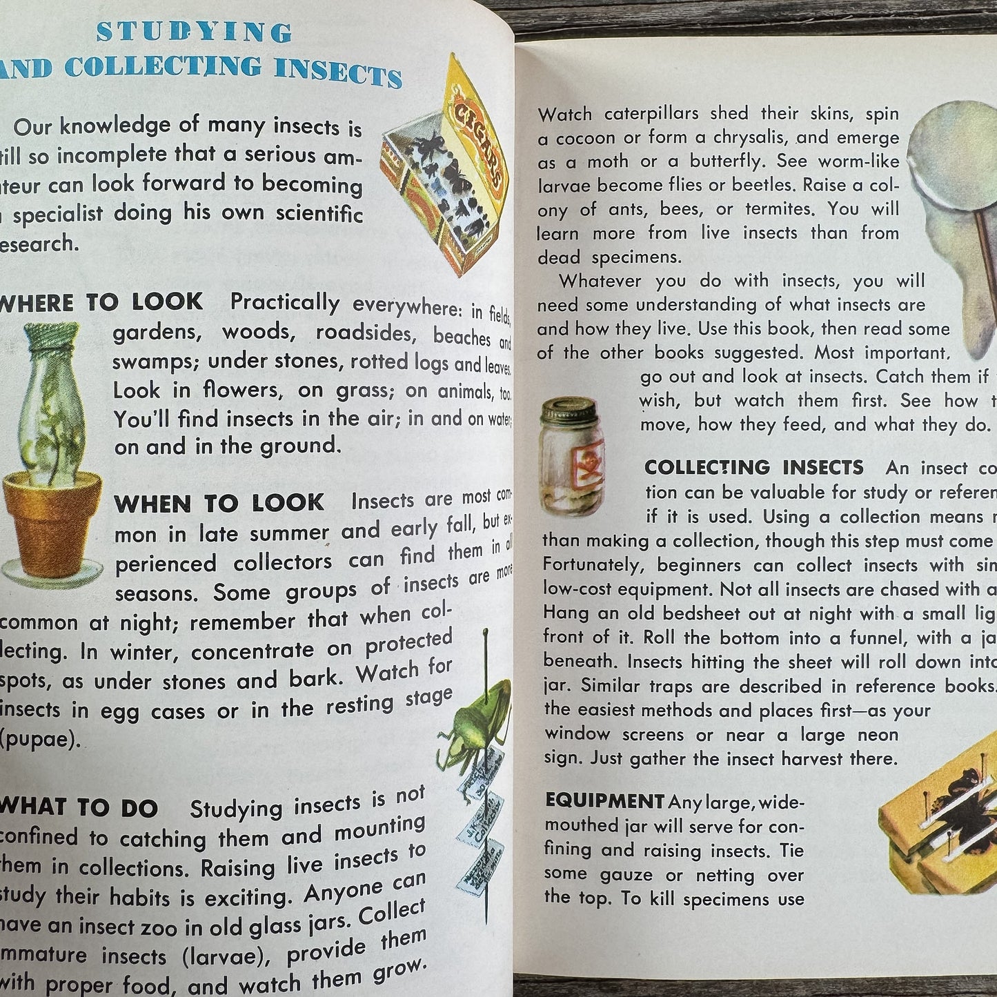 Insects, A Golden Guide, 1956 - Pretty Old Books